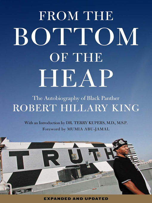 Title details for From the Bottom of the Heap by Robert Hillary King - Available